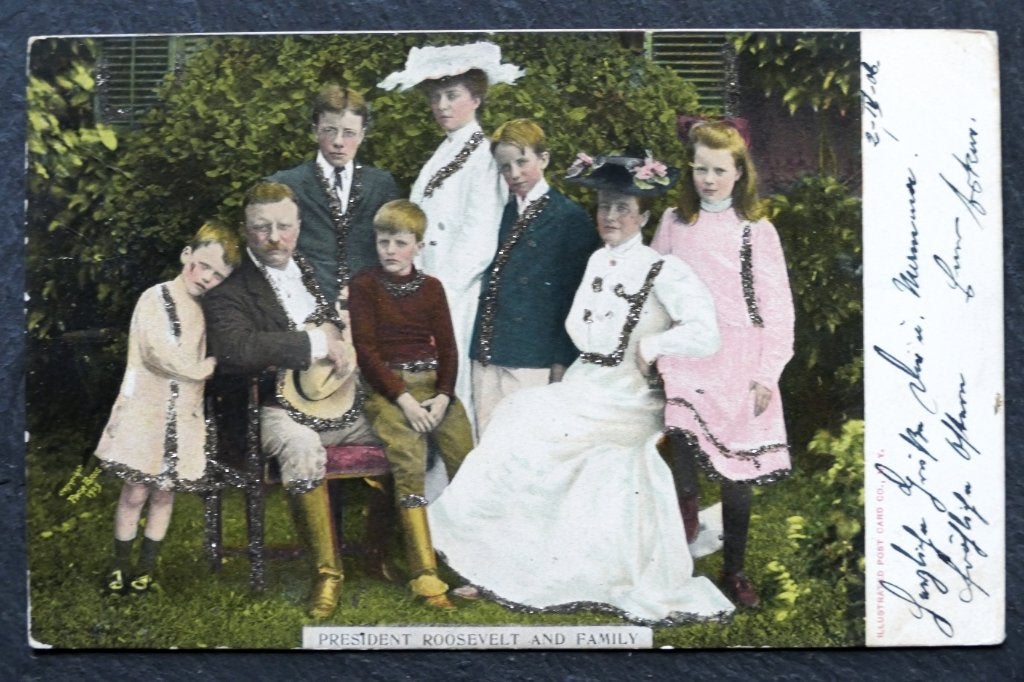 President Roosevelt en zijn gezin, 1906, USA, Verzenden, Voor 1920, Gelopen, Politiek en Historie