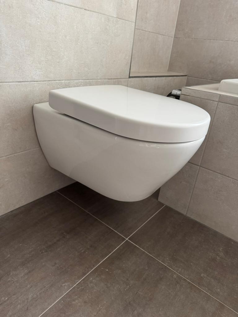 Wandcloset met softclose toiletzitting (2015), Doe-het-zelf en Verbouw, Sanitair, Ophalen, Zo goed als nieuw, Toilet