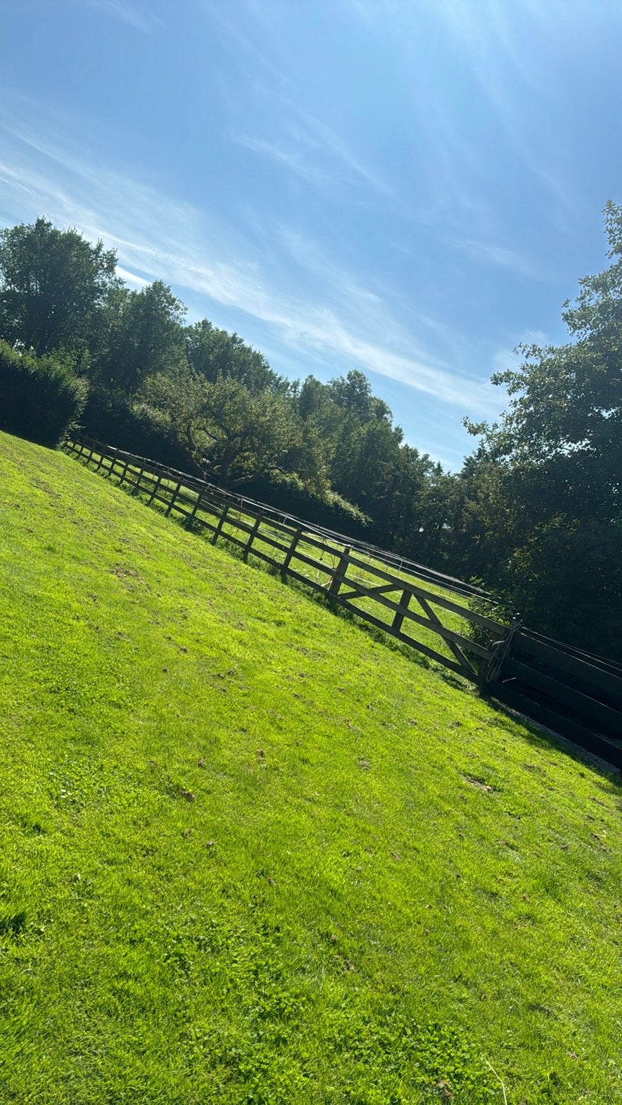 paardenboxenvrijkleinschalige privé stal bij Middenbeemster, Dieren en Toebehoren, Stalling, 2 of 3 paarden of pony's