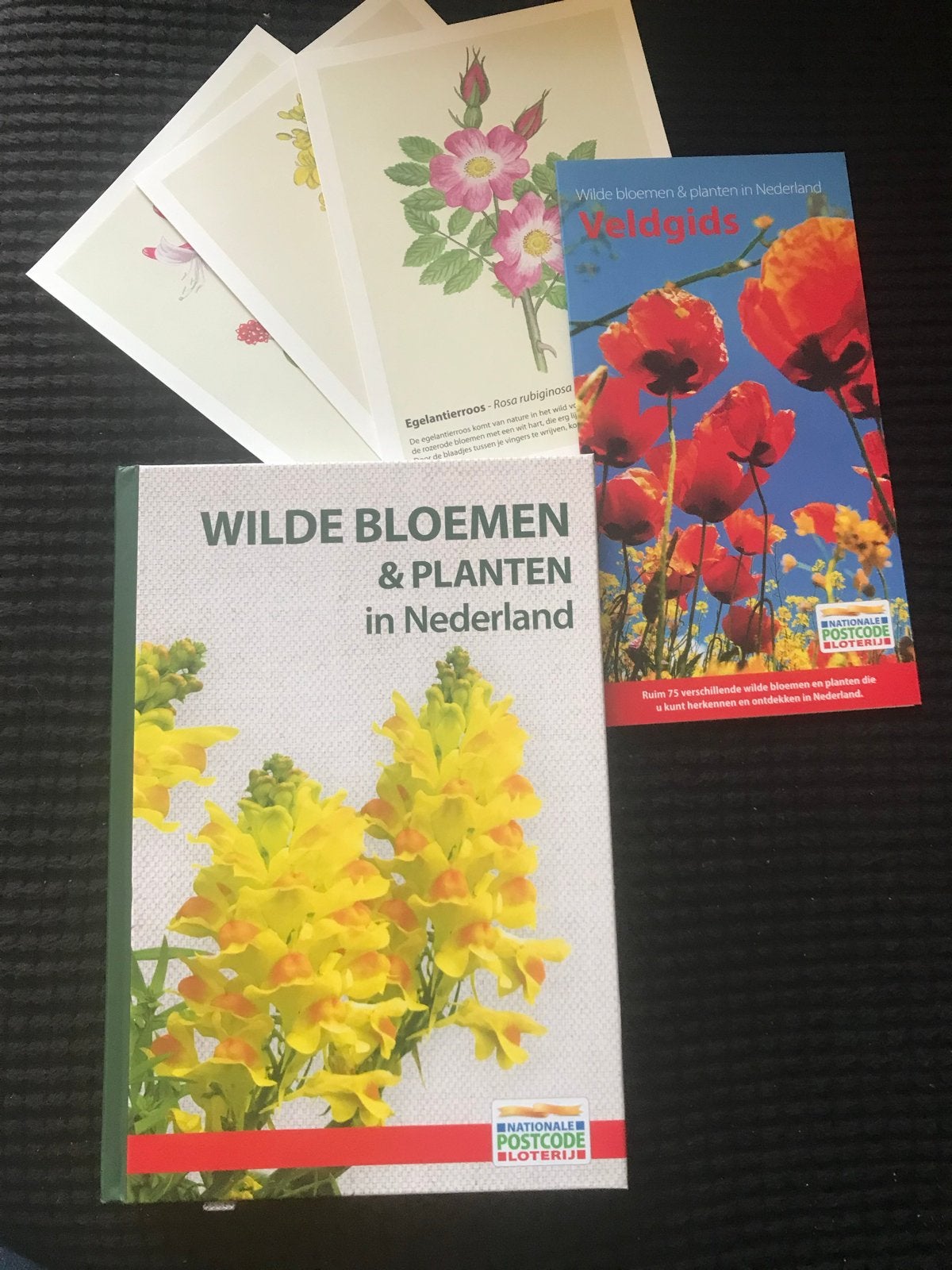 Wilde Bloemen & Planten in Nederland - Veldgids & Kaarten, Ophalen, Zo goed als nieuw, Bloemen, Planten en Bomen