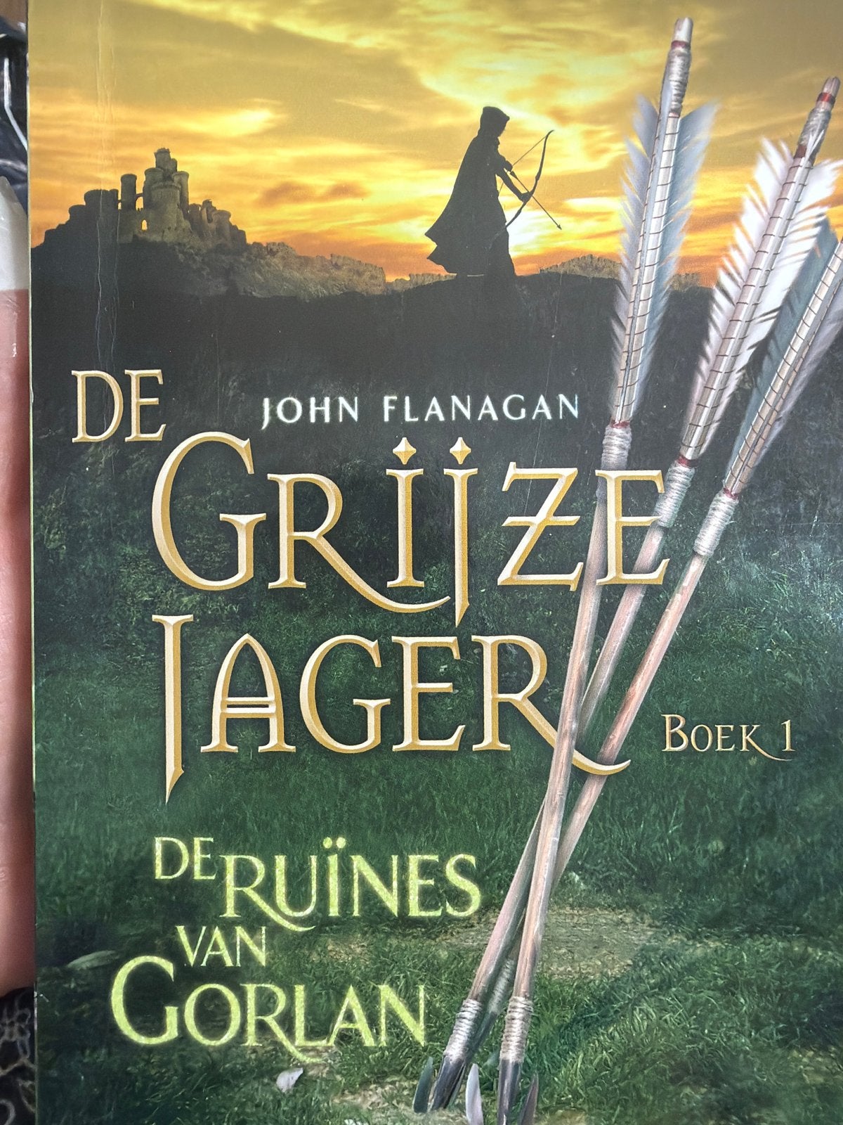 De Grijze Jager: De Ruïnes van Gorlan - Boek 1, Boeken, Ophalen, Gelezen