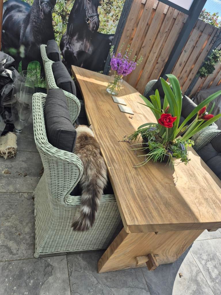 Boomstamtafel met 6 stoelen, 1 jaar oud, nw.prs €2800,-, Overige kleuren, Landelijk, Robuust, Modern, Ophalen of Verzenden, Zo goed als nieuw