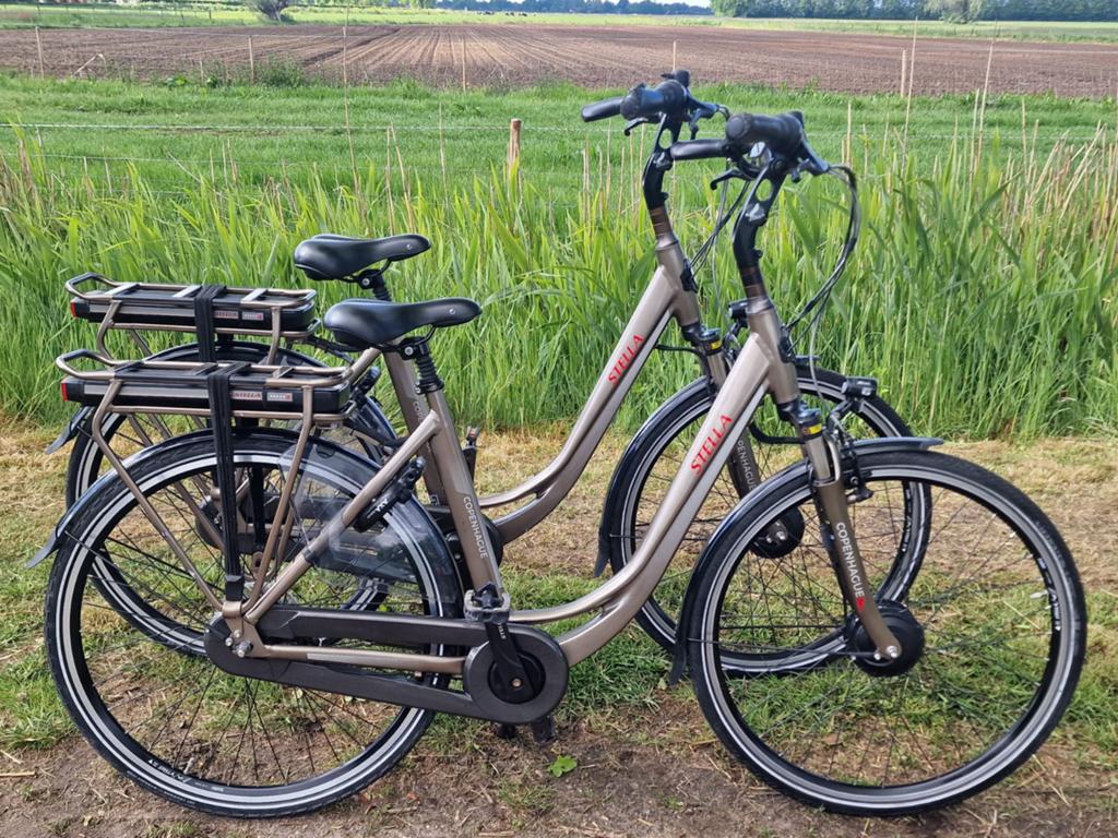 Setje Stella elektrische damesfietsen met goede actieradius, Zo goed als nieuw, 51 tot 55 cm, 50 km per accu of meer, Ophalen