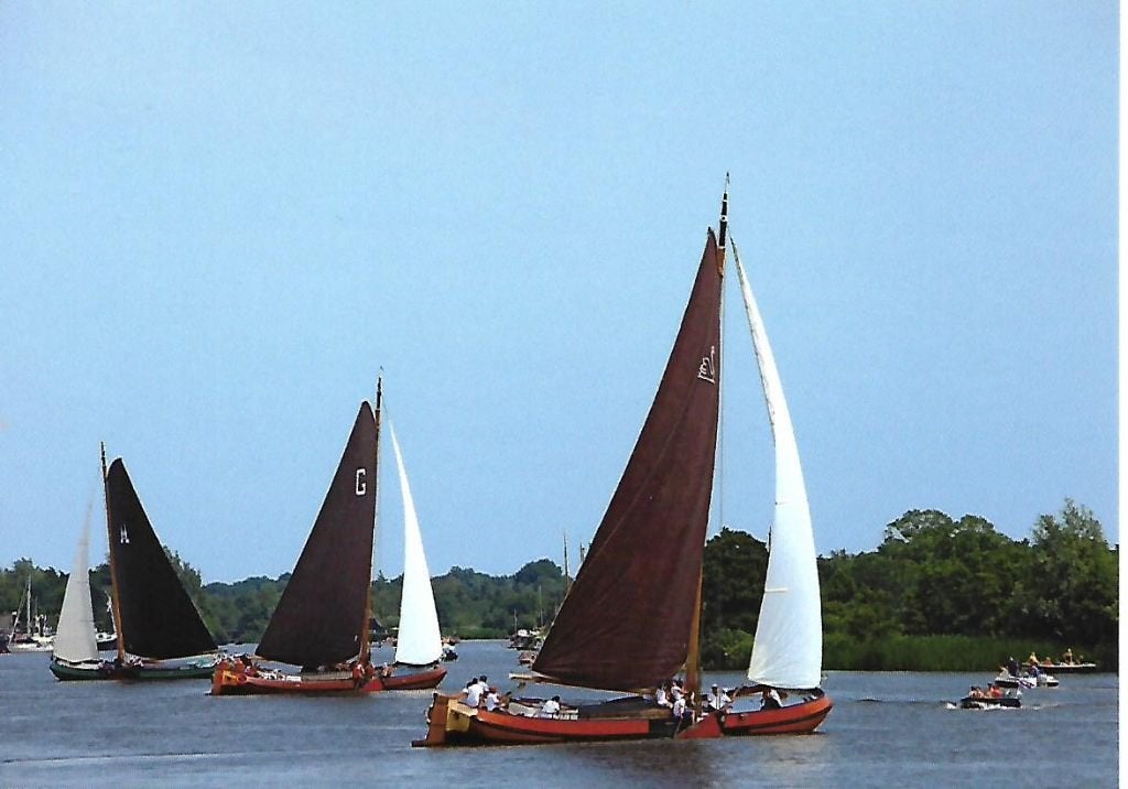 Eernewoude- -Skûtsjesilen., Ophalen of Verzenden, 1980 tot heden, Ongelopen, Friesland