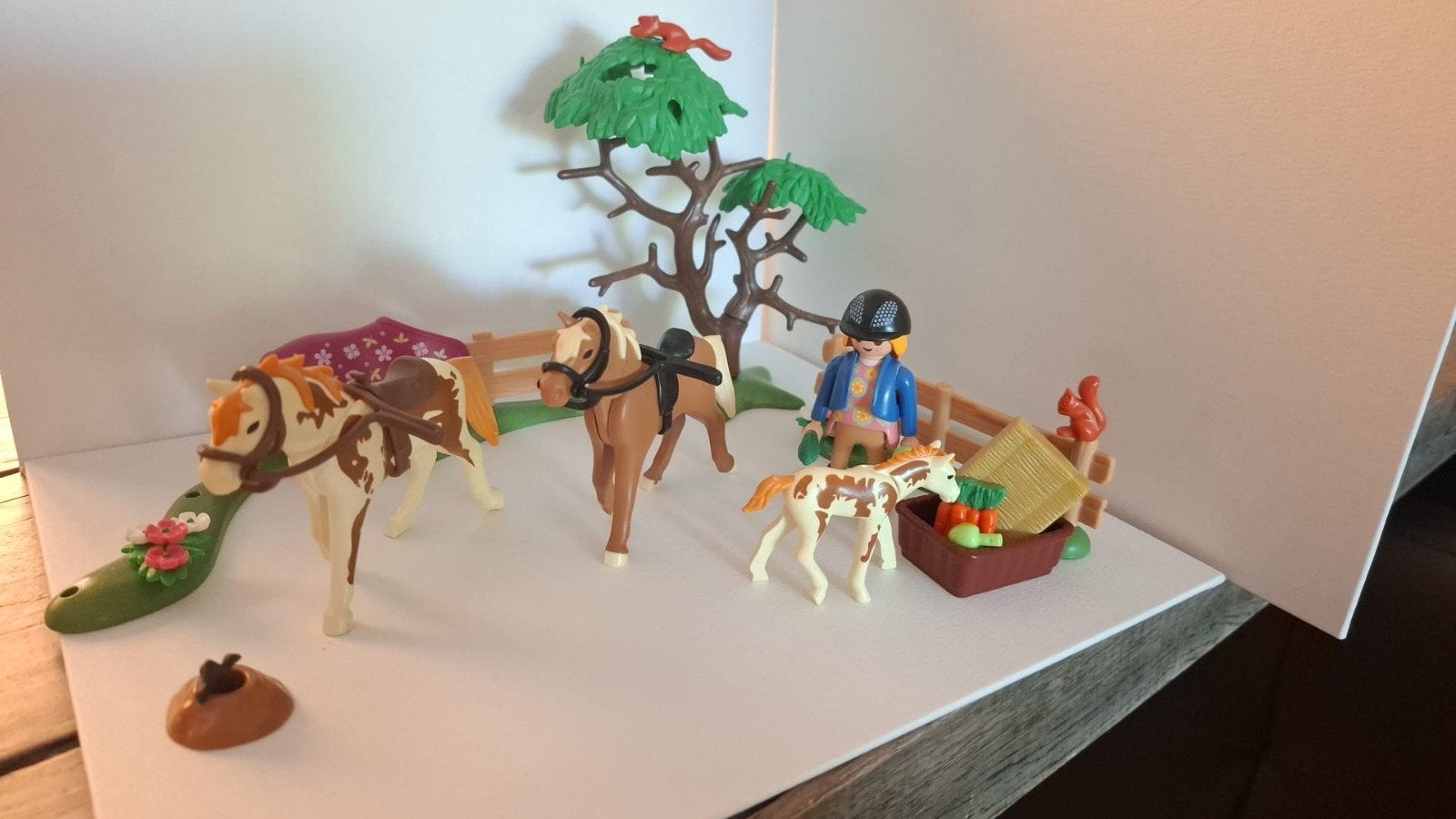 Playmobil 5227: paddock met paardenfamilie, Kinderen en Baby's, Ophalen, Gebruikt, Complete set, Country