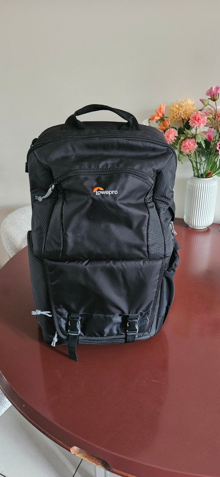 Lowepro Fastpack Camera rugzak + laptopvak, Sieraden, Tassen en Uiterlijk, Ophalen, Gebruikt, Overige merken