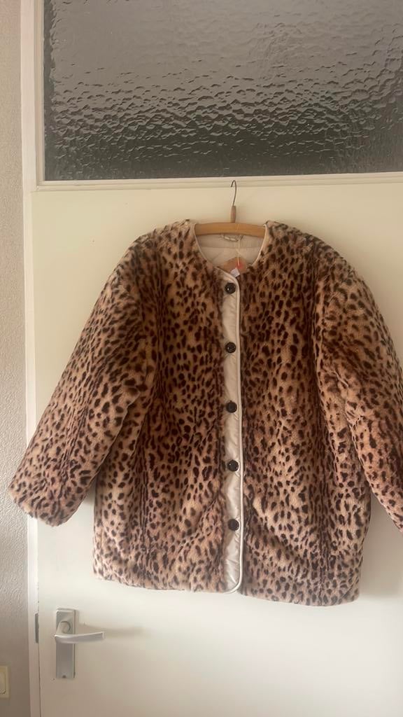 Bellerose winterjas panterprint, Ophalen of Verzenden, Nieuw, Maat 36 (S), Overige kleuren