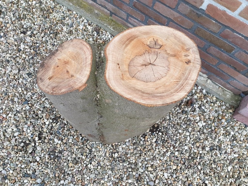 Beuken hakblok, Minder dan 3 m³, Ophalen, Beukenhout, Stammen