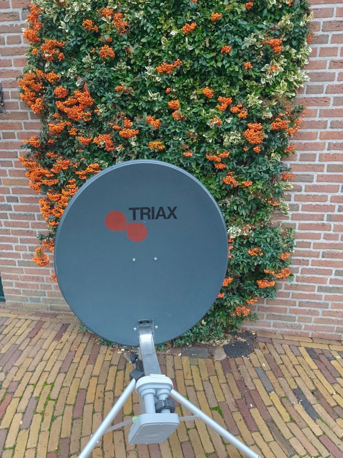 Triax schotel met standaard, Ophalen, Overige merken