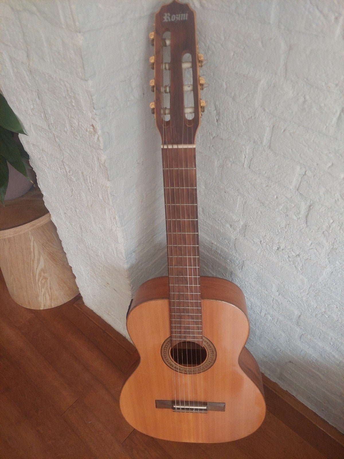 Zeldzame 7-string semi-akoestische Rozinigitaar