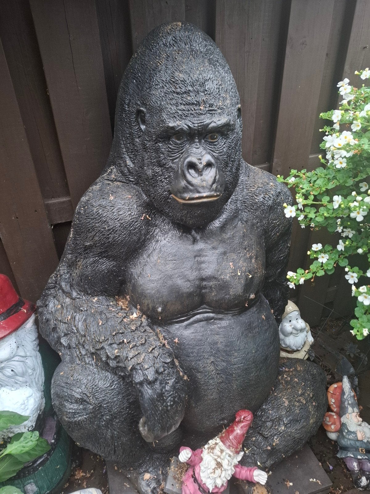 tuinbeeld gorilla, Tuin en Terras, Ophalen