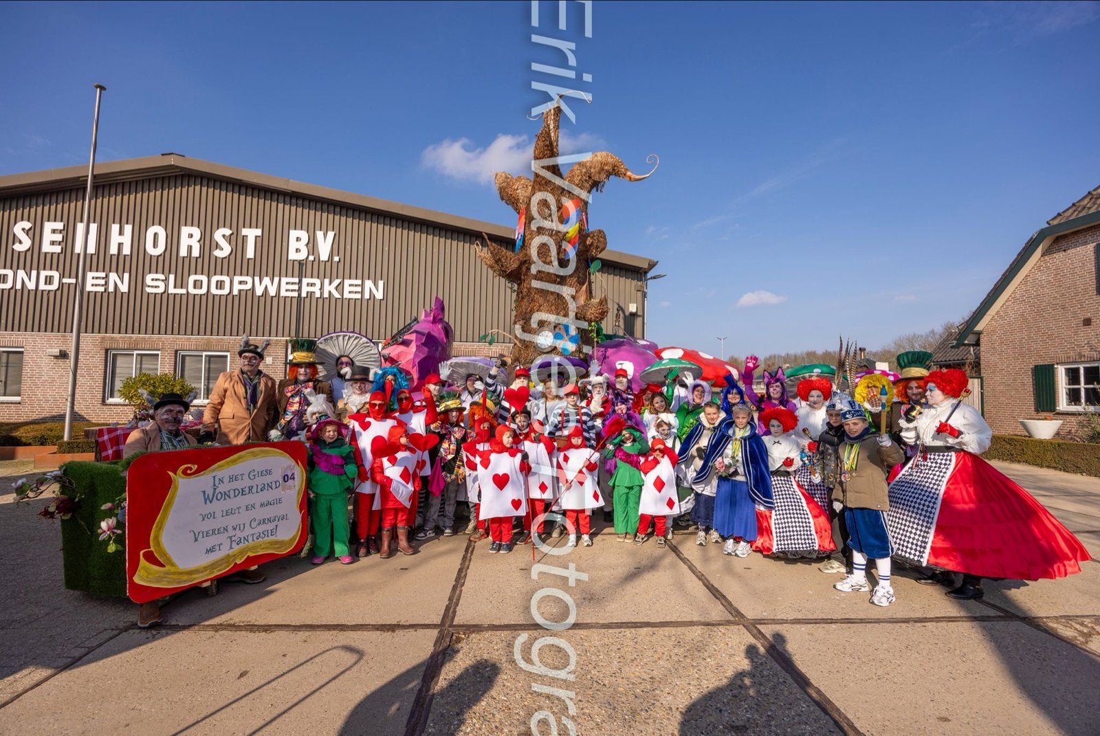 Carnavalskleding Alice in Wonderland - Zelfgemaakt, Kleding | Dames, Carnavalskleding en Feestkleding, Ophalen of Verzenden, Gedragen