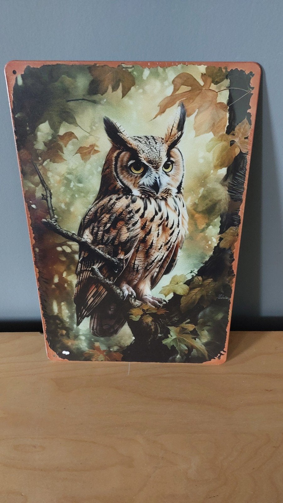Metalen bord met uil 20x30cm, Metaal, Industrieel, Meerkleurig, Ophalen of Verzenden