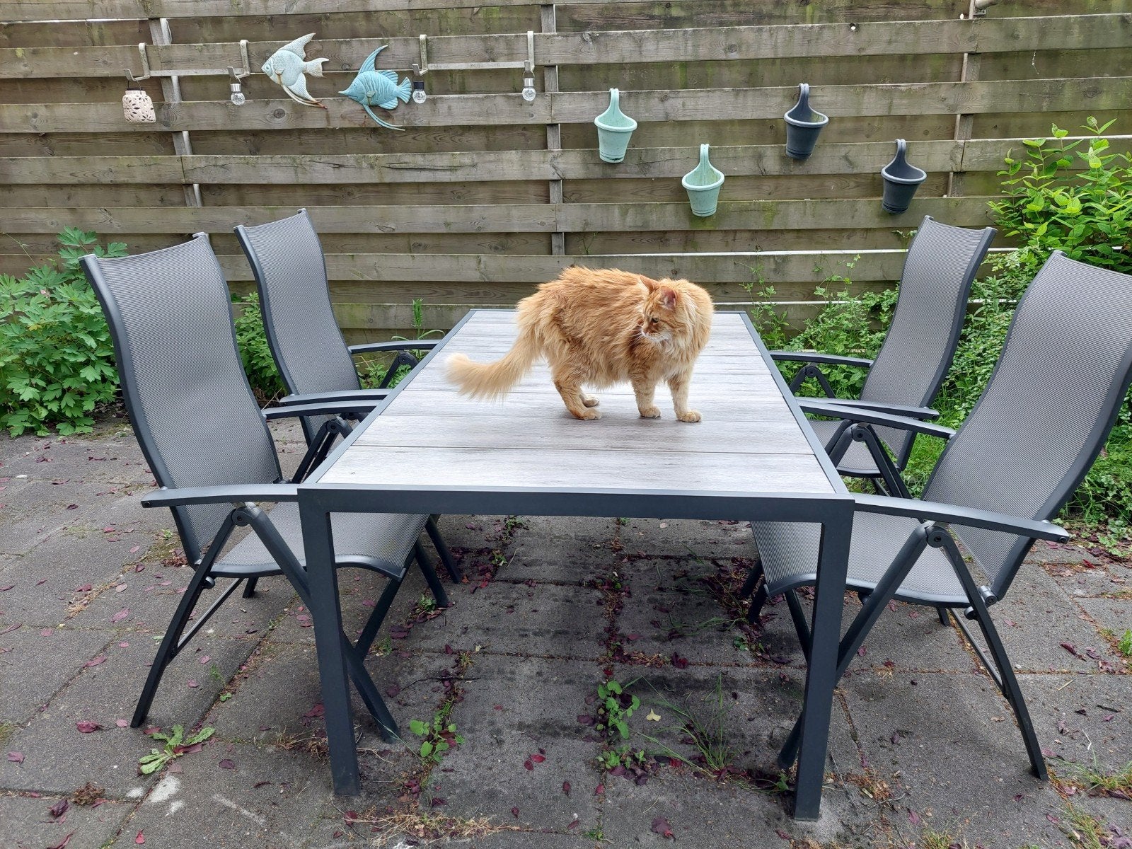 Tuinset, Hartman, Breeze, antraciet, Ophalen, Gebruikt, Tuinset, Overige materialen