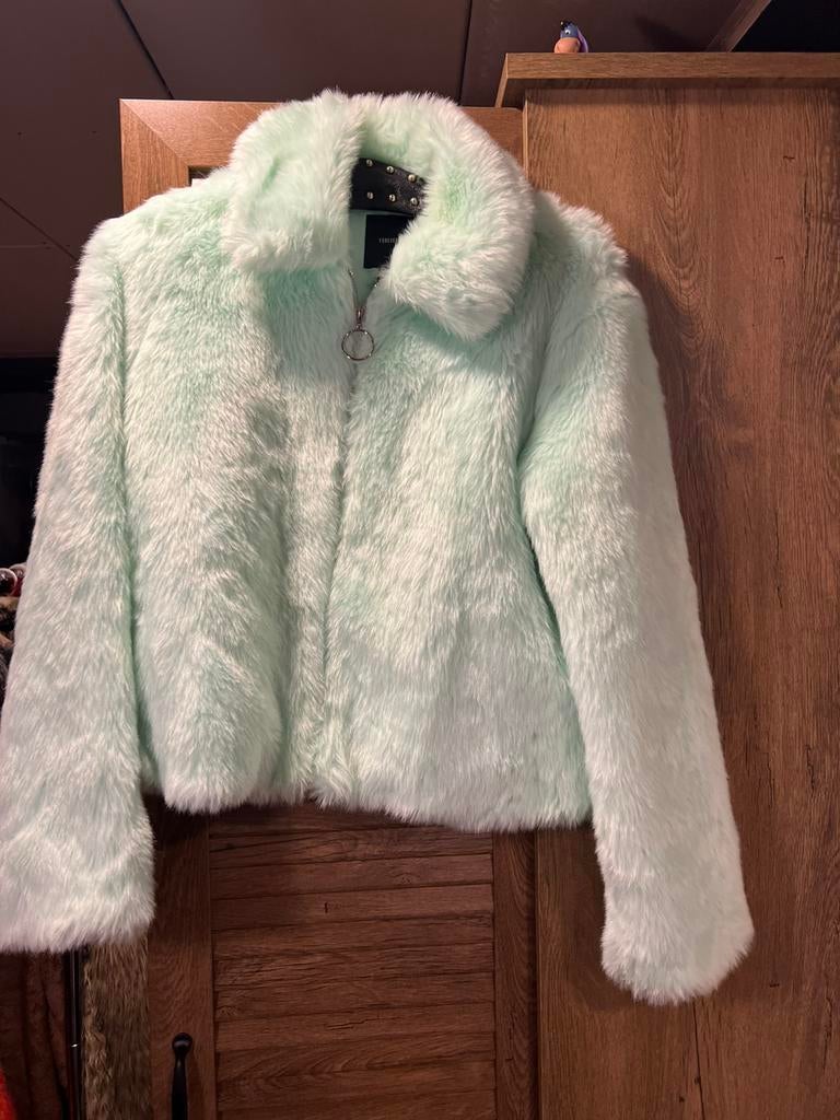 Mooi mint groen bontjasje, Kleding | Dames, Jassen | Winter, Ophalen of Verzenden, Zo goed als nieuw, Maat 36 (S), Groen