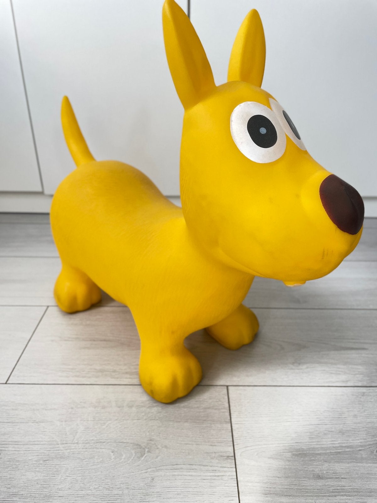 Skippy hond, Ophalen, Zo goed als nieuw