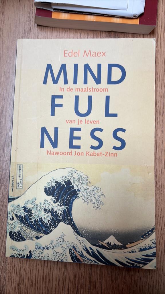 Edel Maex - Mindfulness, Boeken, Zo goed als nieuw, Instructieboek, Overige onderwerpen, Edel Maex