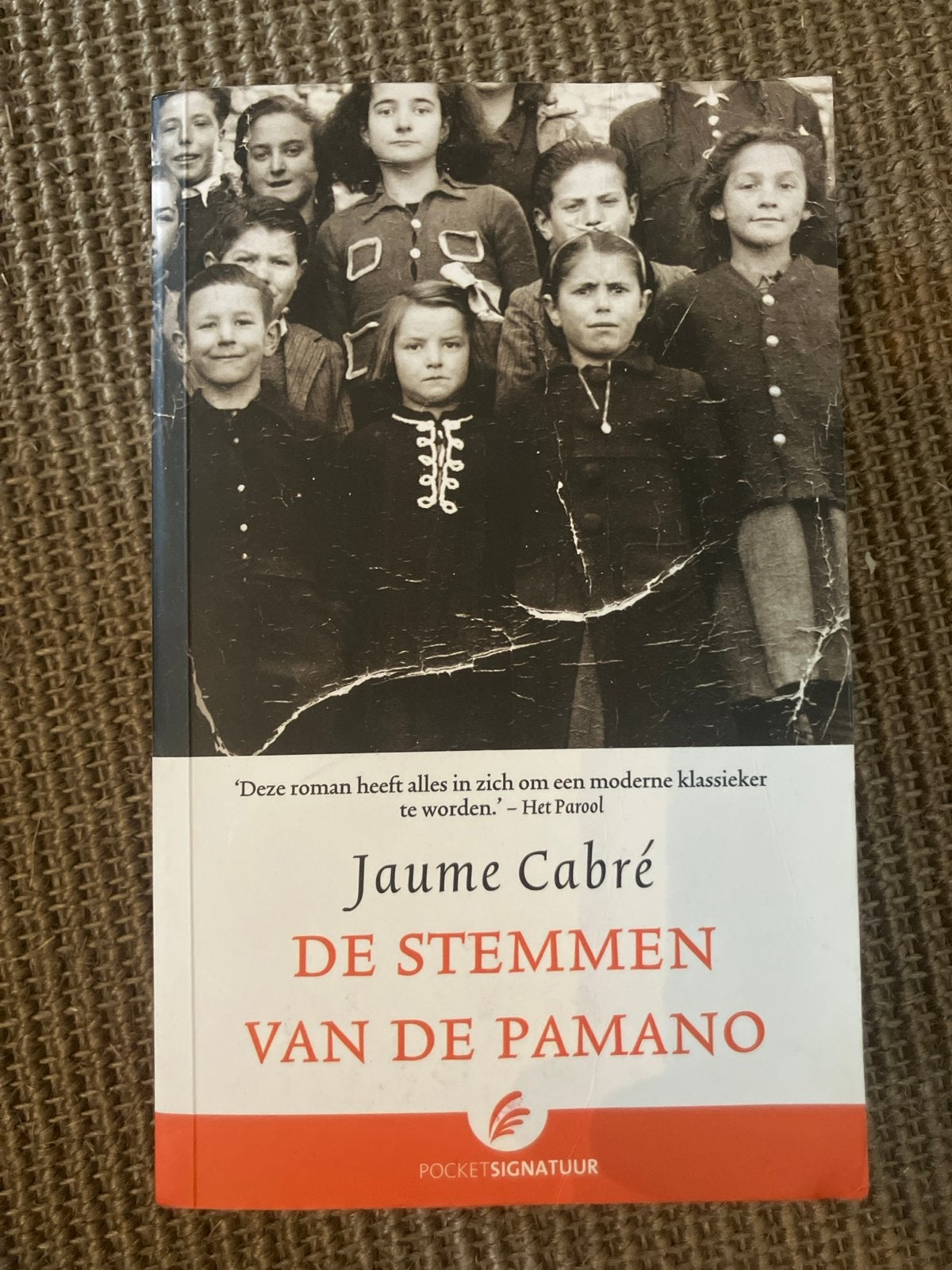De Stemmen van de Pamano - Jaume Cabré (Pocket), Ophalen of Verzenden, Gelezen, Europa overig
