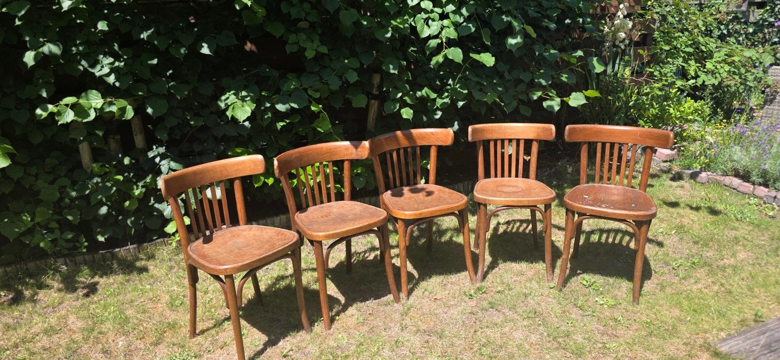 Set van 5 Antieke Polish Bentwood Stoelen - Krakau, Antiek en Kunst, Ophalen of Verzenden