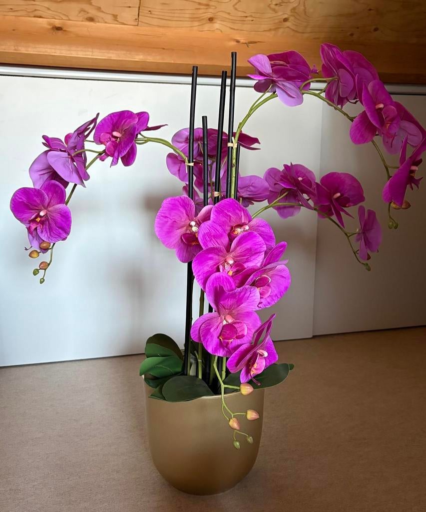 Échte zijde orchidee, hoge kwaliteit zijde,5 takken.Incl pot, Ophalen, Nieuw, Binnen