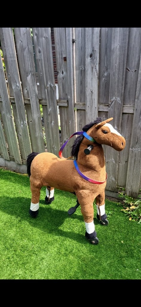 Speelgoedpaard rijpaard 5-9 jaar, Ophalen