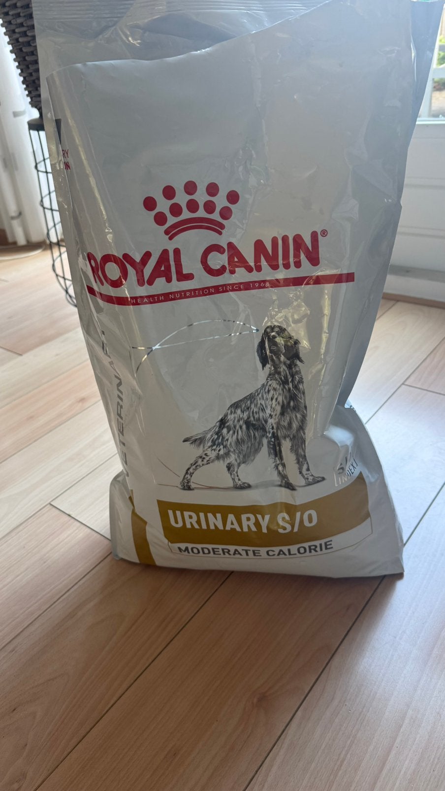 Hondenvoer, ruim een halve zak, Ophalen, Hond