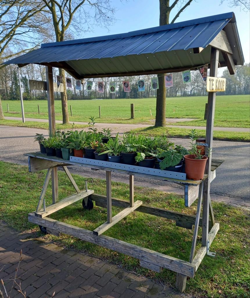 Kraampje aan de weg met tuinplanten, Ophalen, Overige soorten, Halfschaduw
