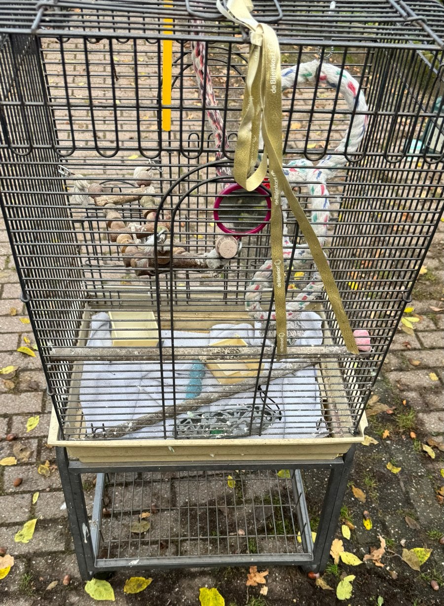 Vogelkooi, Ophalen of Verzenden, Gebruikt, Metaal, Vogelkooi