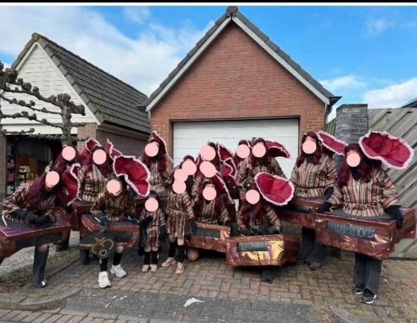 Carnavalsgroep Grammofoonplaten - 13 volw. + 3 kind., Ophalen, Carnaval