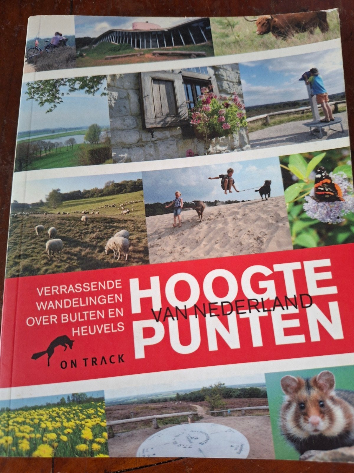 Hoogtepunten van Nederland: Verrassende Wandelingen, Boeken, Fiets- of Wandelgids, Ophalen of Verzenden, Benelux, Gelezen
