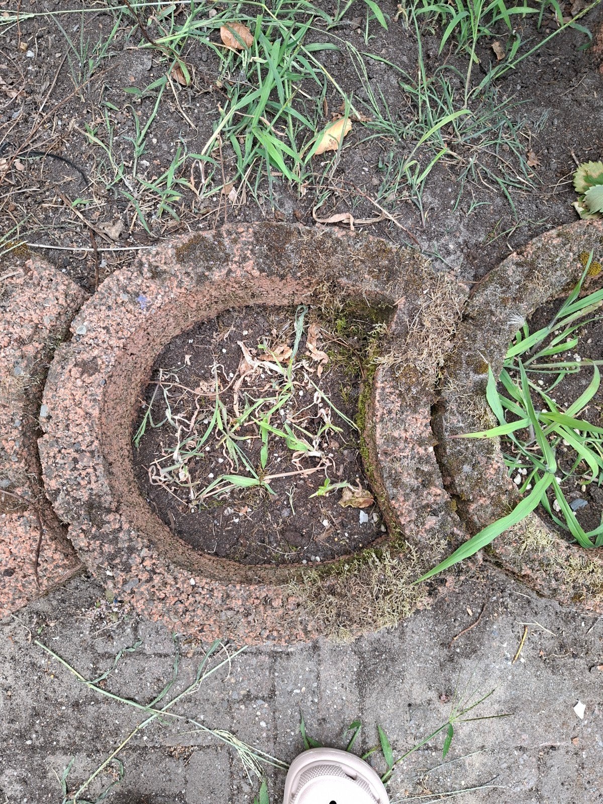 12 betonnen plantenbakken gratis af te halen, Tuin en Terras, Bloembakken en Plantenbakken, Ophalen