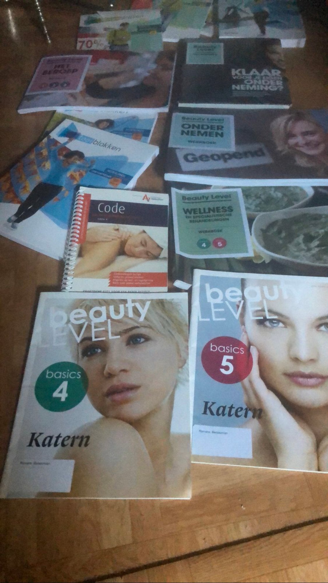 Beauty Level Basics 4 - Wellnessbehandeling, Boeken, Ophalen of Verzenden, Zo goed als nieuw, MBO
