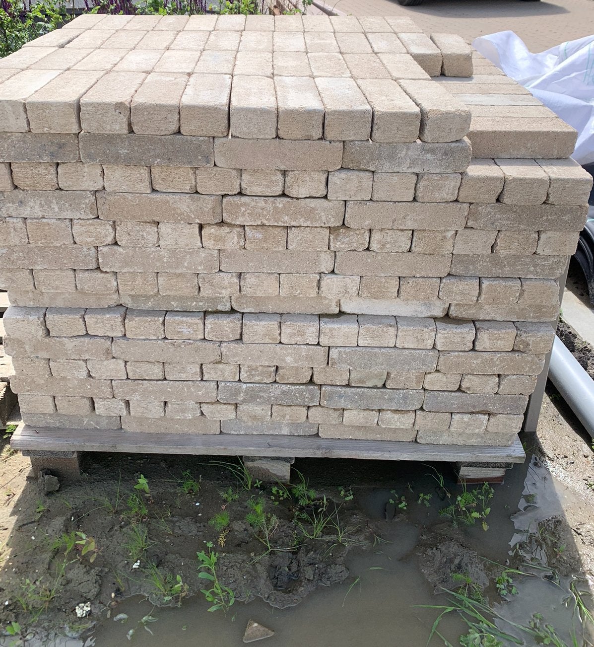 Getrommelde waaltjes hele pallet! Nieuw!, Ophalen, Klinkers, Nieuw, 5 tot 10 m²