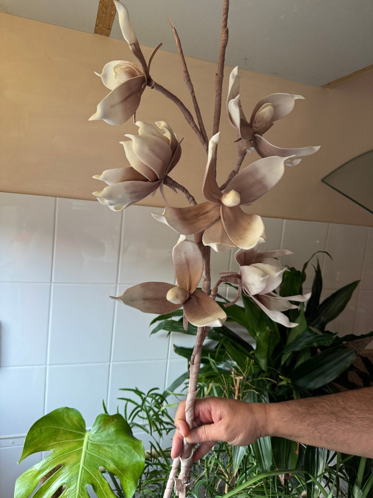 Decoratieve Kunstbloem Tak - Magnolia Look, Binnen, Gebruikt, Beige, Kunstbloem