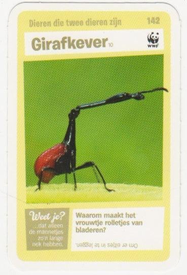Super dieren no.142 Girafkever [2756]  [VeOvSu], Verzamelen, Supermarktacties, Albert Heijn, Ophalen of Verzenden