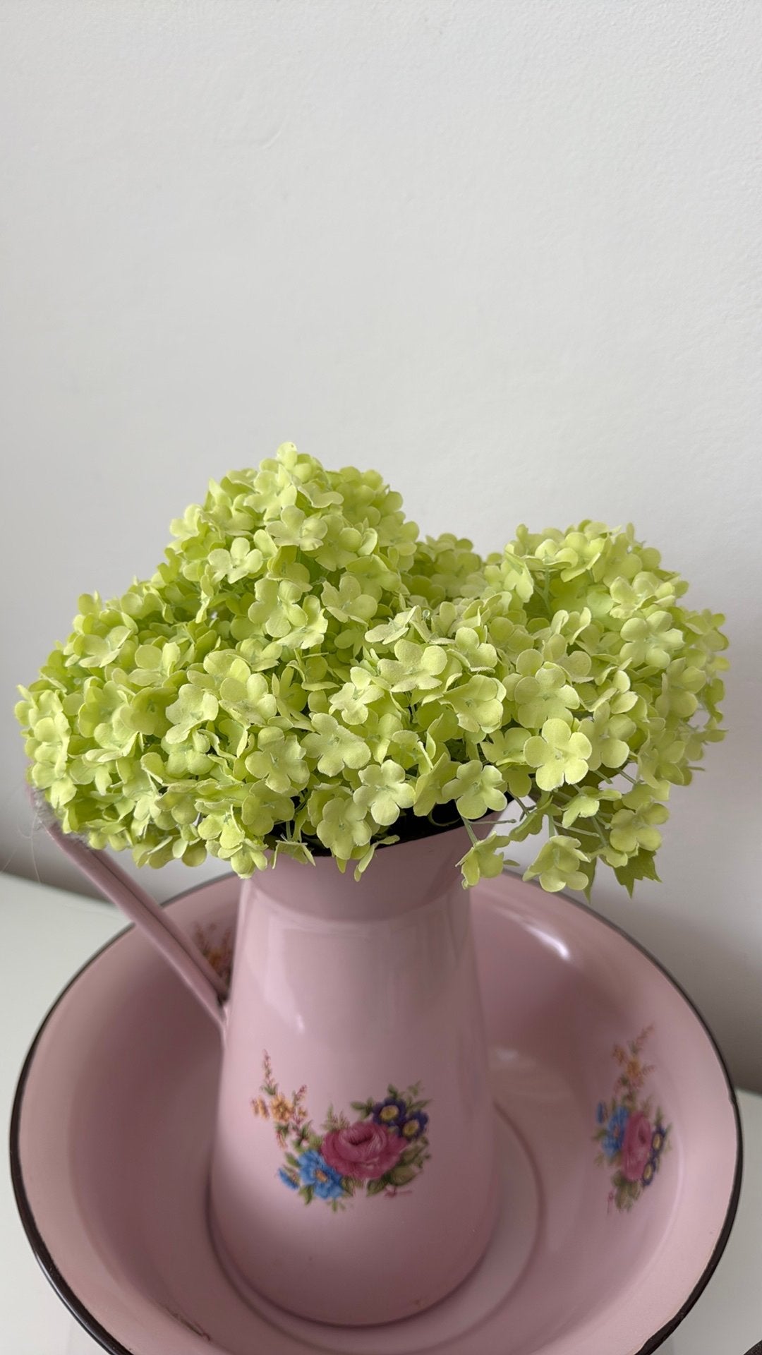 2 schattige kleine bosjes hortensia Annebelle, Ophalen of Verzenden