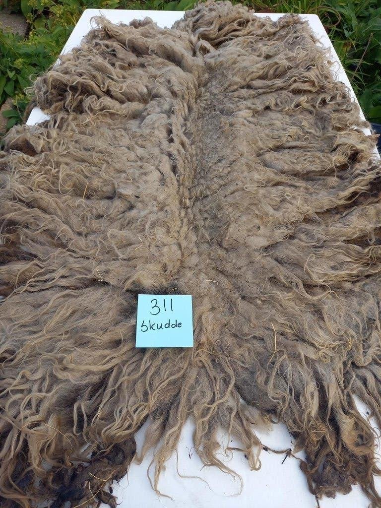 nr 311 Geschoren vacht van een Skudde schaap blond, Ophalen of Verzenden, Gebruikt