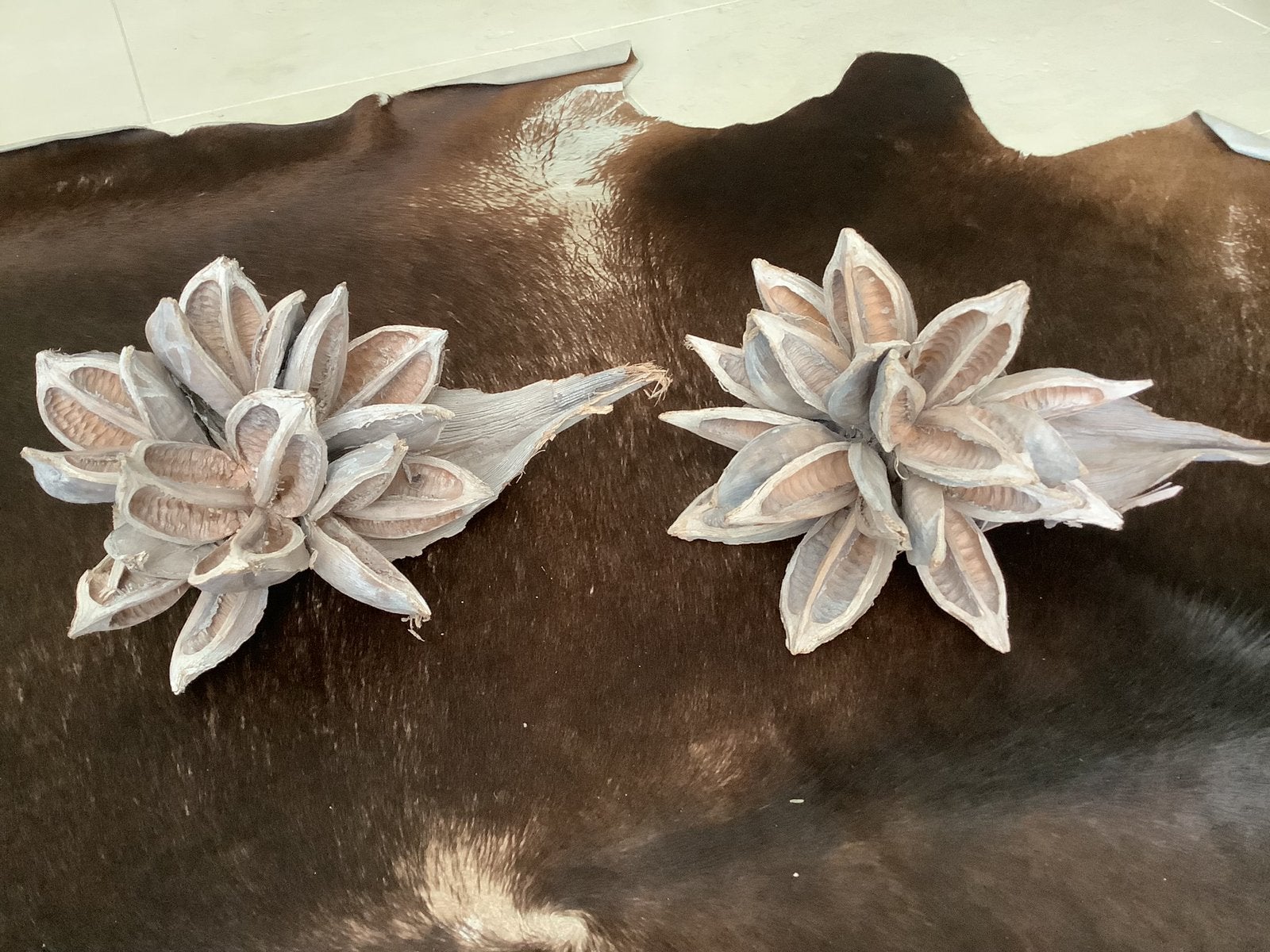 2x mooie sororoca decoratie houten bloemen vruchten, Ophalen of Verzenden, Zo goed als nieuw