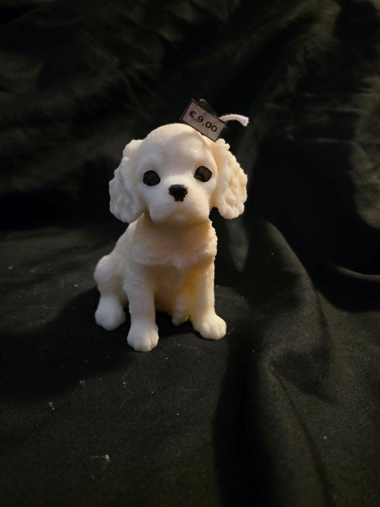 Sierkaars King Charles hondje, Ophalen of Verzenden, Nieuw, Dier