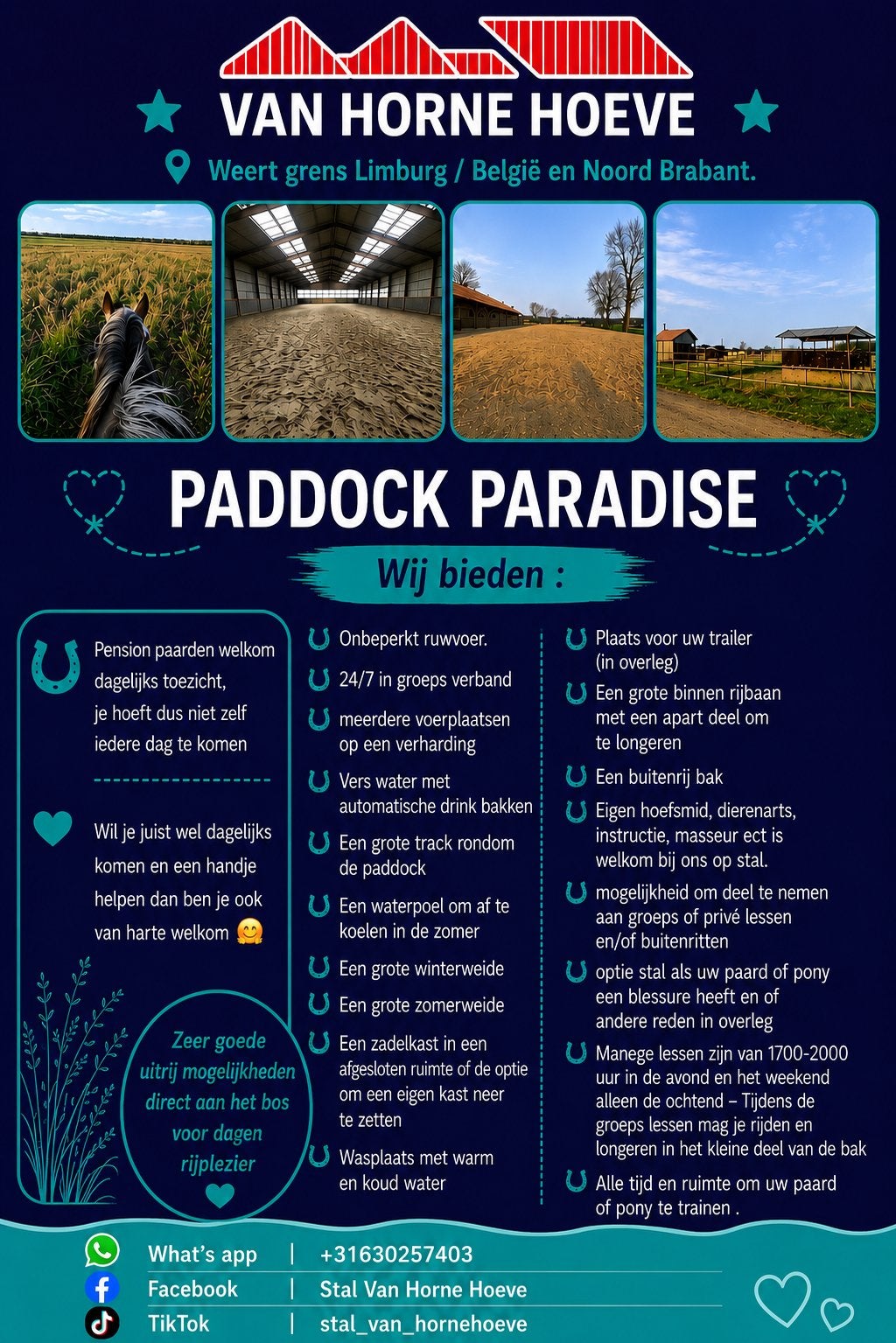 Pensionstalling pensioenpaarden paddock paradise  weide stal, Dieren en Toebehoren, Stalling en Weidegang, Stalling