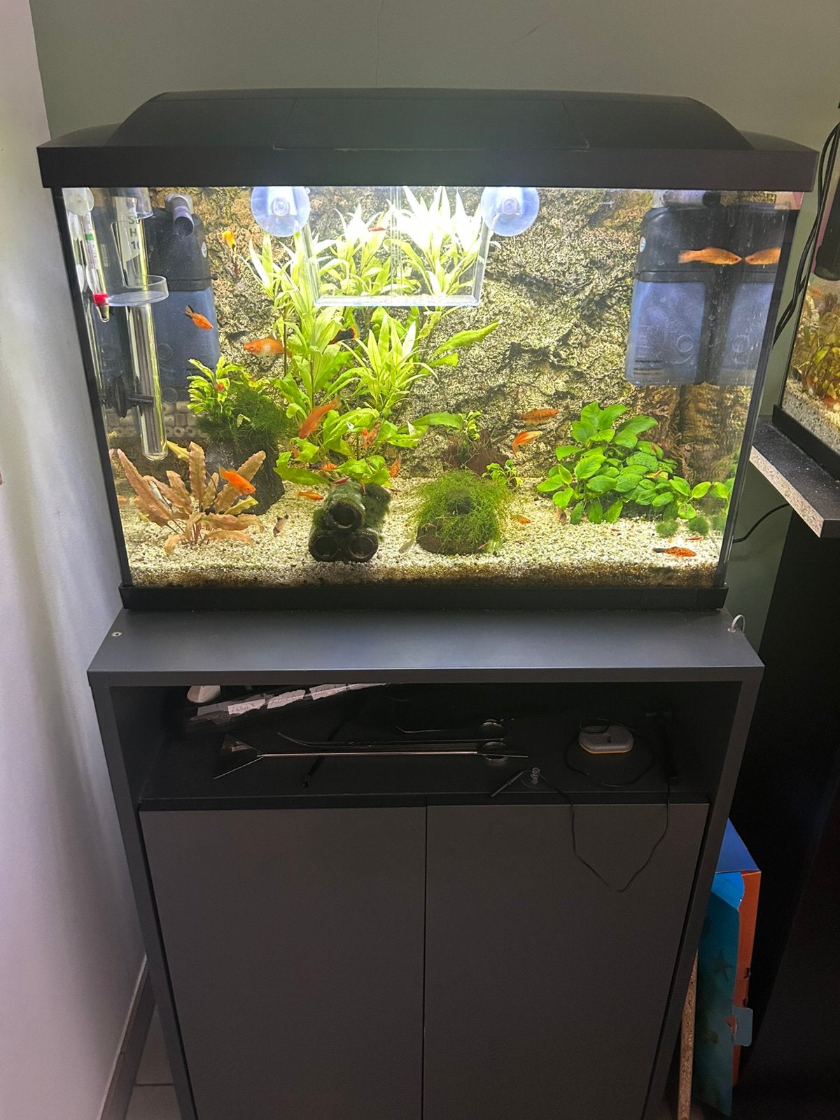3x Aquarium + 2x kast, Ophalen, Zo goed als nieuw, Leeg aquarium