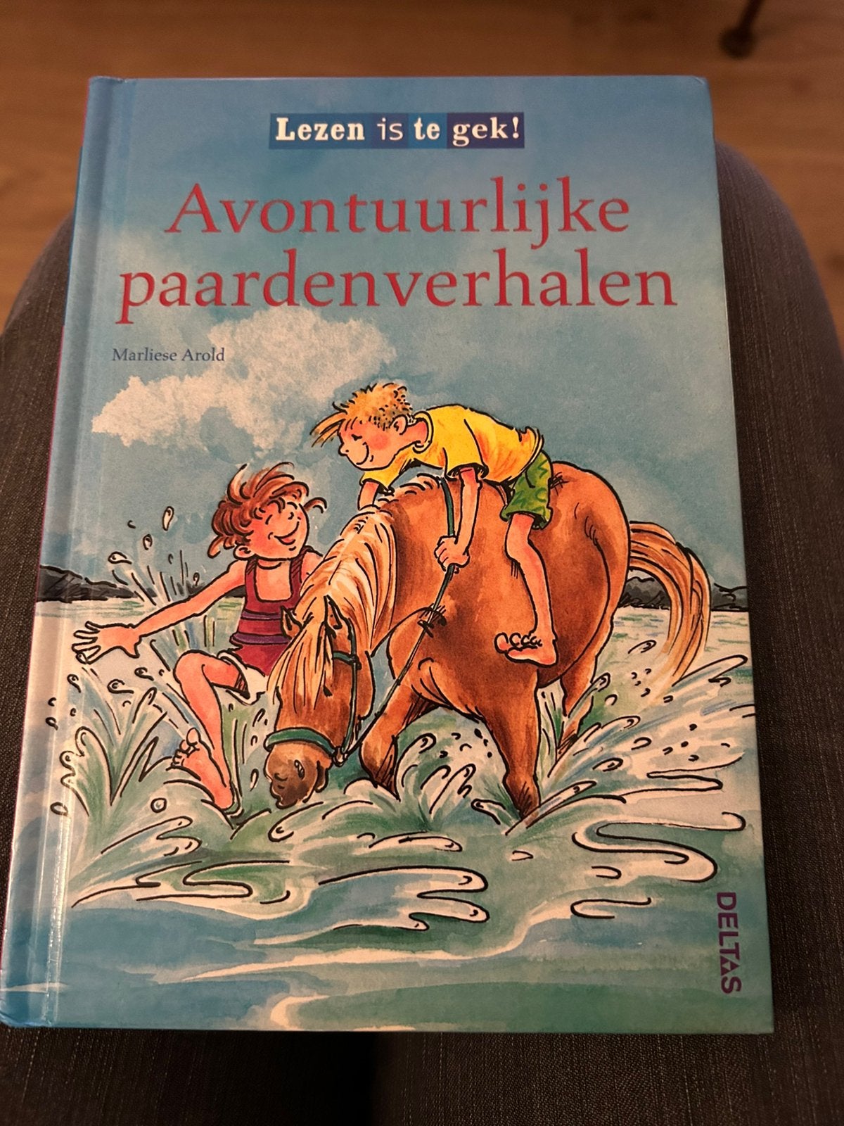 Avontuurlijke paardenverhalen, Ophalen of Verzenden, Gelezen, Fictie
