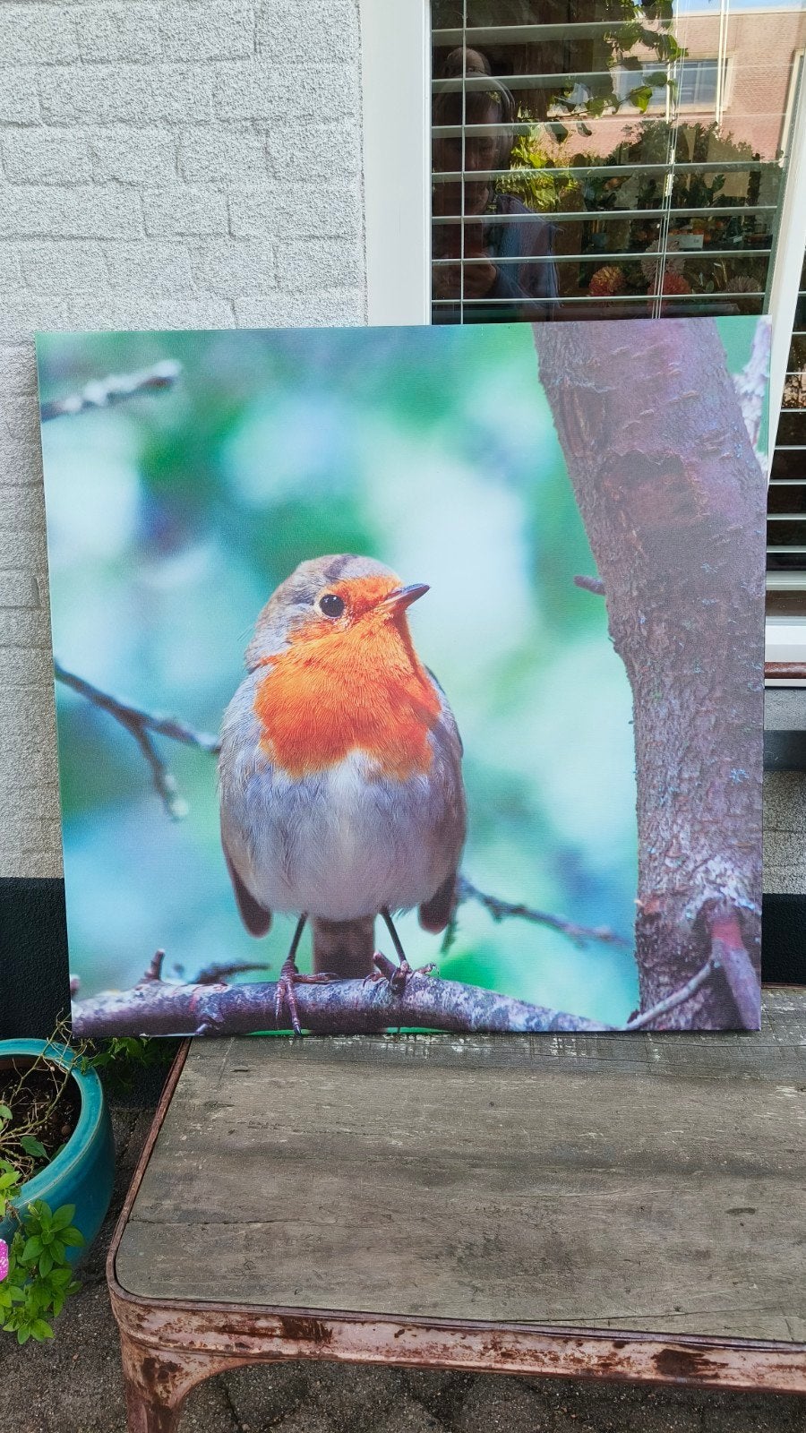 Canvas buitenposter roodborstje 80x80 cm, Ophalen of Verzenden, Zo goed als nieuw, 75 tot 100 cm, Foto of Poster