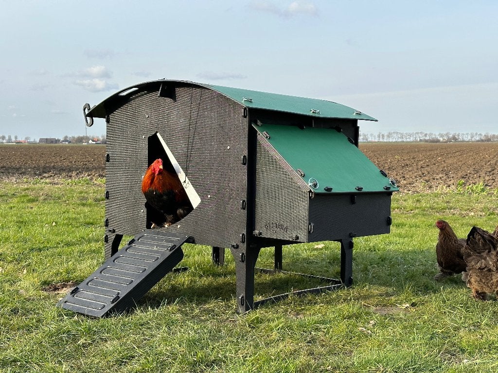 Kunststof Kippenhok – Nestera Large Op Pootjes, Ophalen of Verzenden, Nieuw, Kippenhok of Kippenren