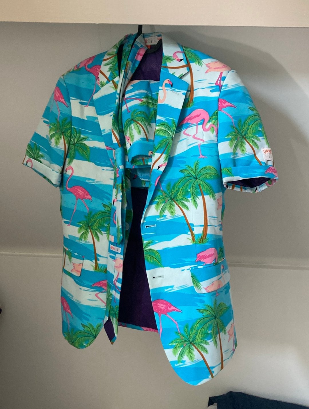 Opposuits carneval/feest outfit, Ophalen of Verzenden, Zo goed als nieuw, Maat 46 (S) of kleiner, Kleding