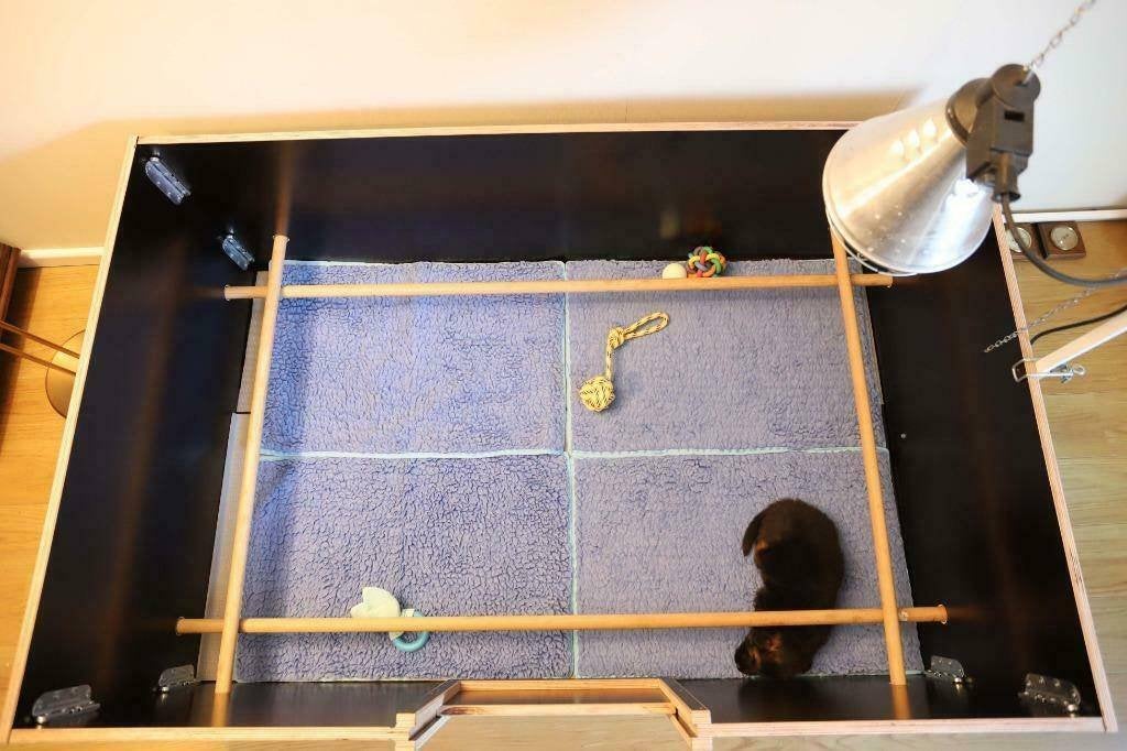ideale werpkist te huur voor grote honden, Dieren en Toebehoren, Ophalen, Gebruikt