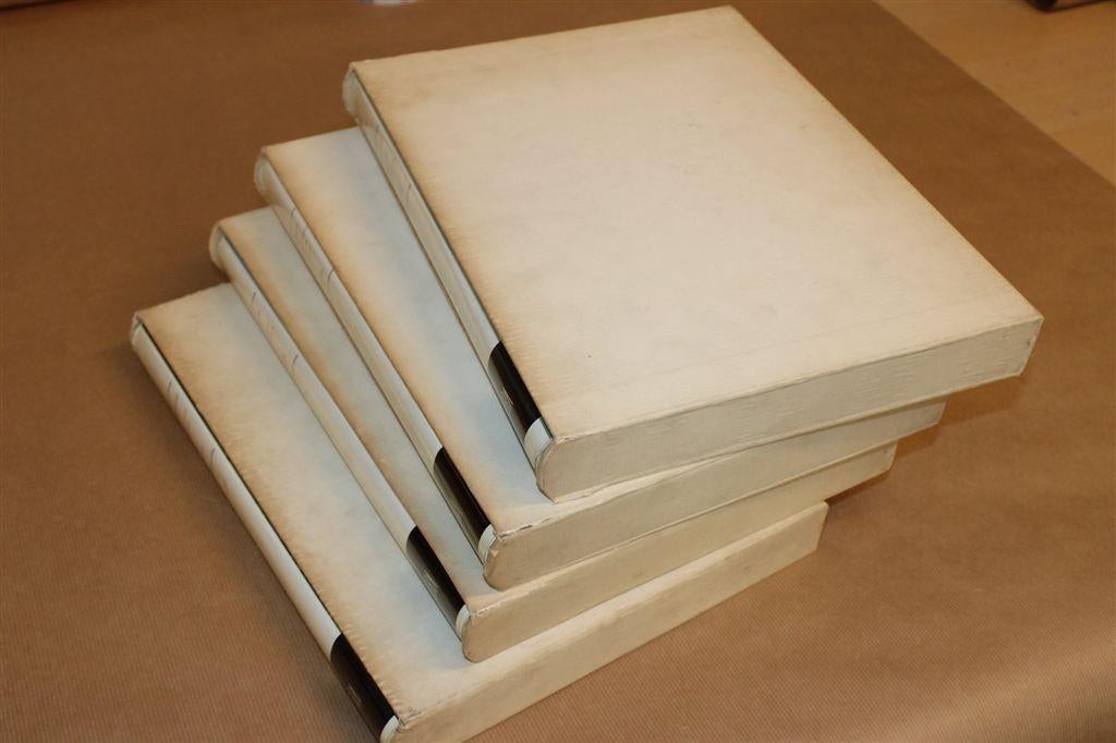 4-Delige Kunstset Skira — Rijk Geïllustreerde Kunstcollectie, Ophalen of Verzenden, Gelezen