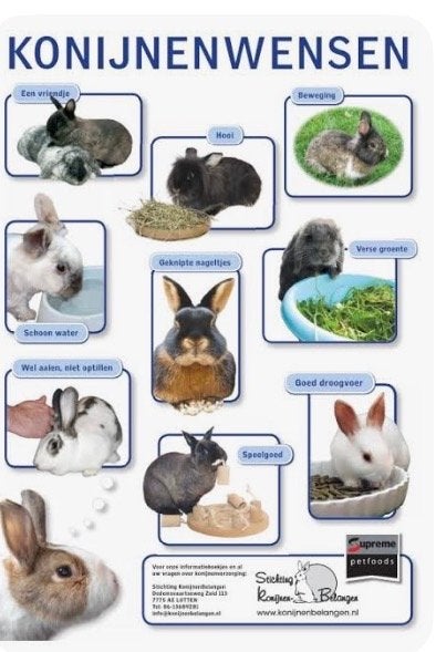 Geef een konijn wat nodig is !, Dieren en Toebehoren