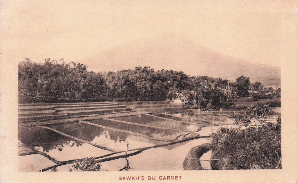Nederlands Indië Garoet - de Sawah's, Ophalen of Verzenden, Voor 1920, Ongelopen, Buiten Europa