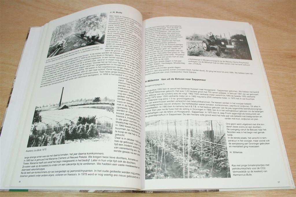 100 Jaar Tuinbouw Hoogezand-Sappemeer — Historisch Overzicht, Boeken, Ophalen of Verzenden, Zo goed als nieuw